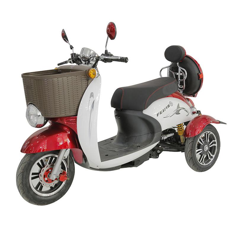 Elektroscooter FM-B20