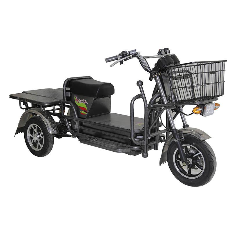 Elektroscooter FM-Titan